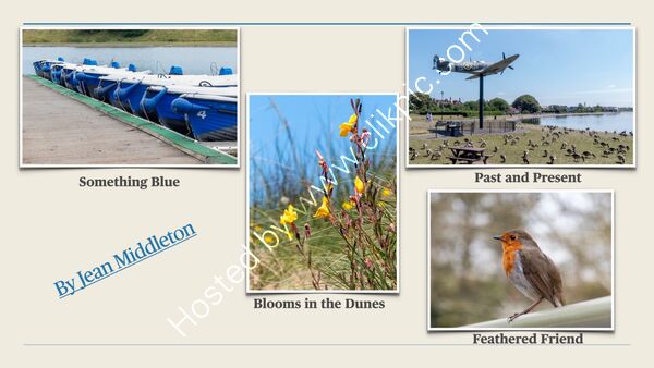 Summer Challenge Collection By Jean Middleton