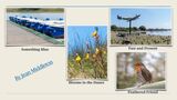 Summer Challenge Collection By Jean Middleton