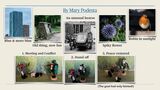 Summer Challenge Collection By Mary Podesta
