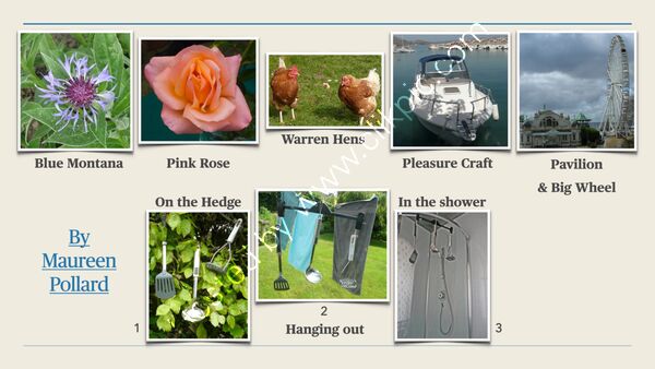 Summer Challenge Collection By Maureen Pollard