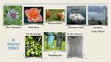 Summer Challenge Collection By Maureen Pollard