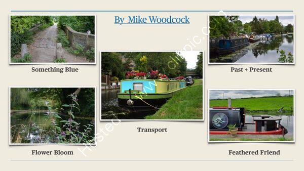 Summer Challenge Collection By Mike Woodcock