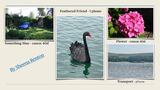 Summer Challenge Collection By Sheena Renton