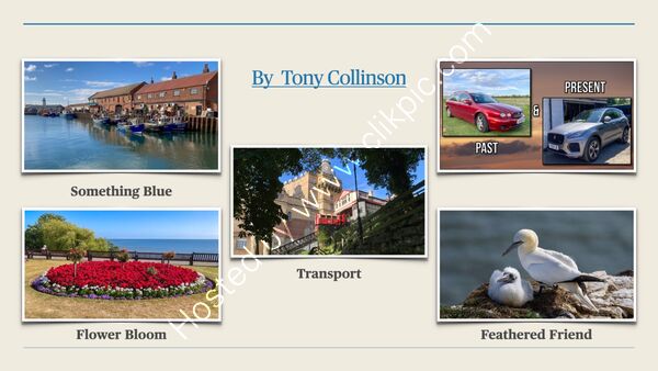 Summer Challenge Collection By Tony Collinson