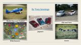 Summer Challenge Collection By Tony Jennings