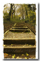 Steps in Autumn
