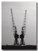 Two Cranes