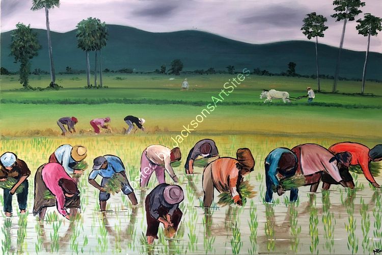 Aisha Haider The Rice Planters