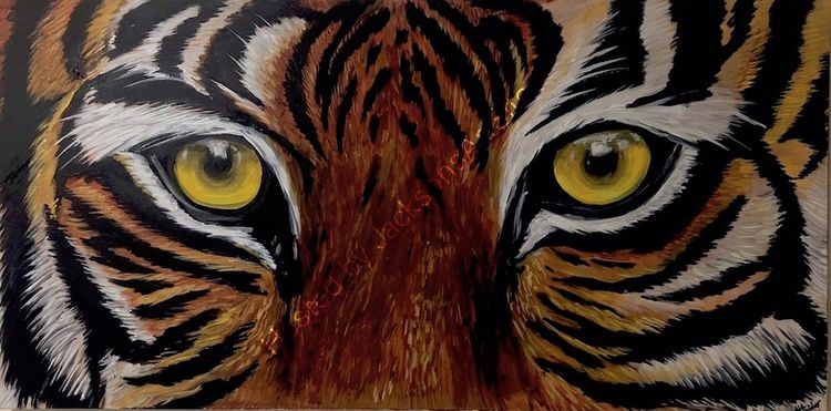 Aisha Haider tiger eyes