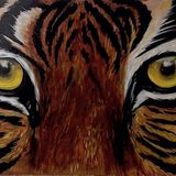 Tiger Eyes