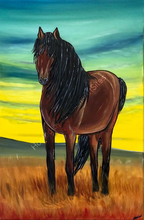 sunset horse