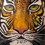 the watchful tiger