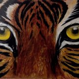 tiger eyes