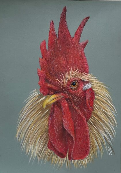 Cock-a-doodle. SOLD Potter Heigham Easter Art Exhibition 2023