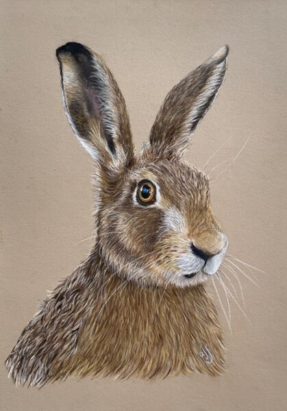 Hazel SOLD Potter Heigham 2024