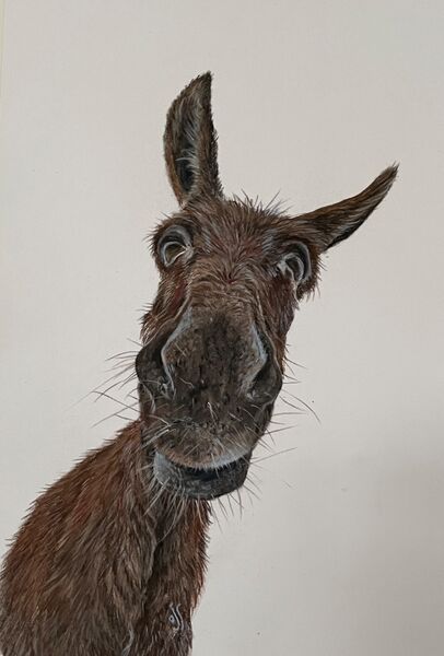 Ned the Donkey. SOLD Potter Heigham Art exhibition 2023