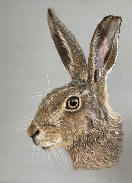 Huxley Hare SOLD The Apex Gallery, Bury St Edmunds
