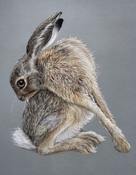 Harriet Hare SOLD Royal Norfolk Show 2022