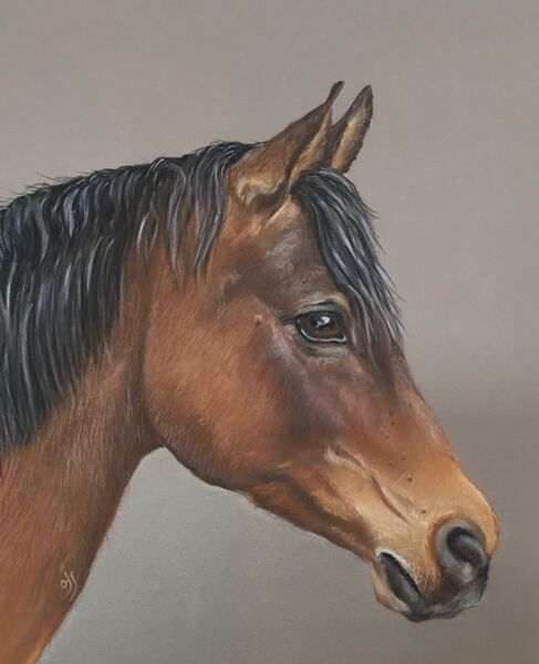 Shah Manesh (Manny) Commission