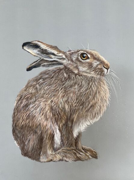 Henry Hare SOLD The Apex Gallery, Bury St Ed’s 2023