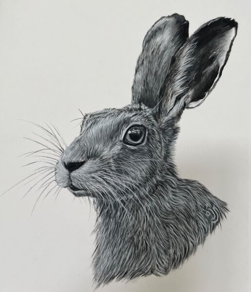 Pepper. SOLD HORNING 2022