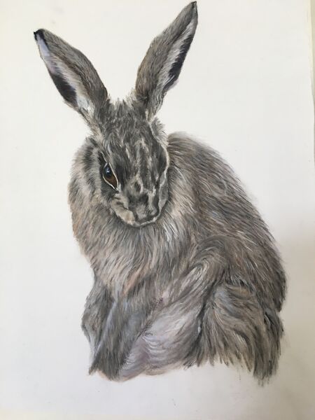 Bashful. SOLD at NNAC at the Munnings Museum 2021