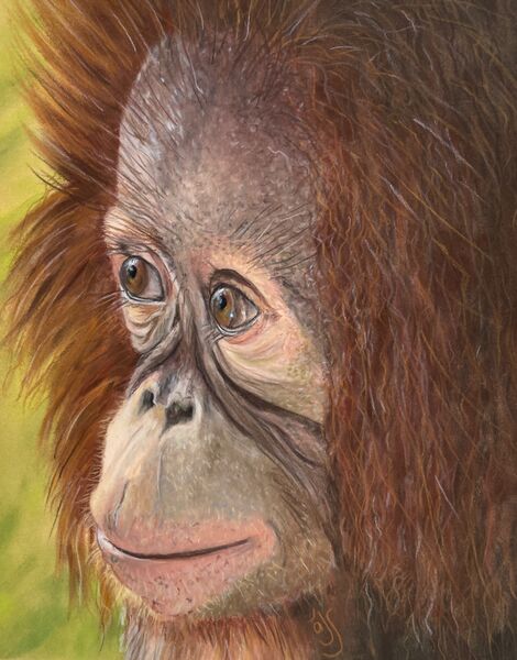 Jimmy SOLD Thorpe Market Feb 2025