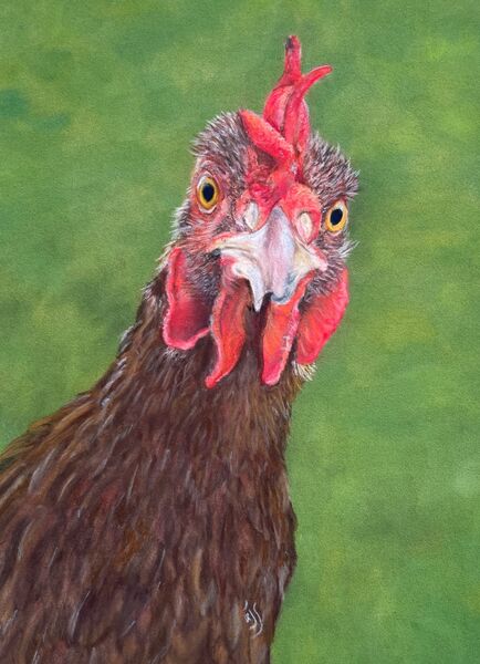 Emma the Hen SOLD Thorpe Market 2023