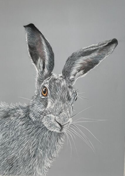 Hare painting donated to the Spinal Injuries Association HO, Milton Keynes