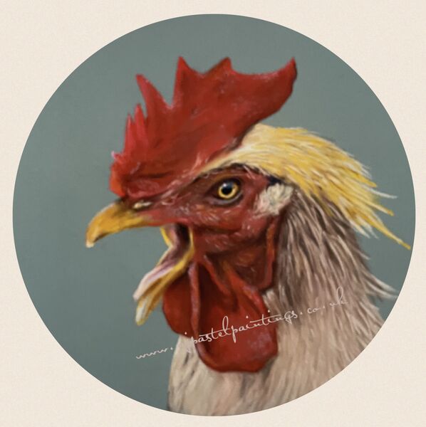 Rowdy Rooster (That cock-a-doodle-do). SOLD