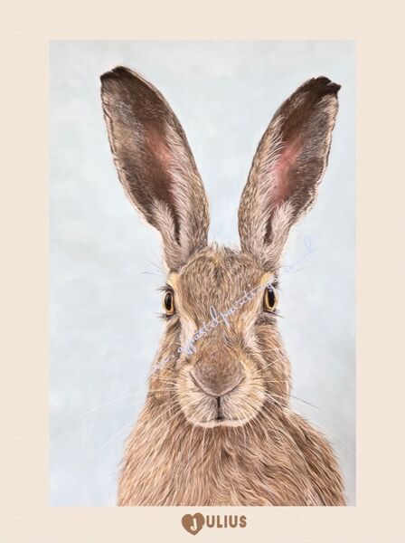 Julius. SOLD The Apex Gallery, Bury St Edmunds