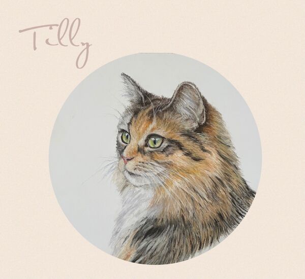 Tilly Commission