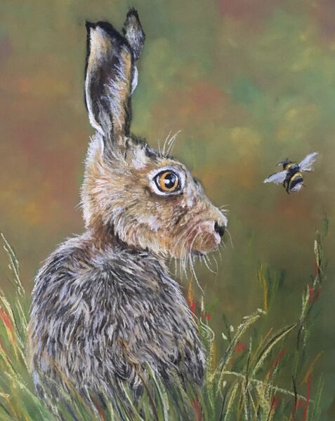Hare I Bee SOLD