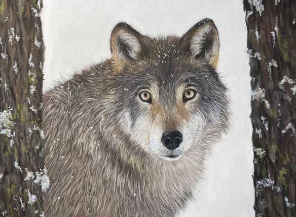 Wolf in the Wood SOLD Thorpe Market Feb 2025