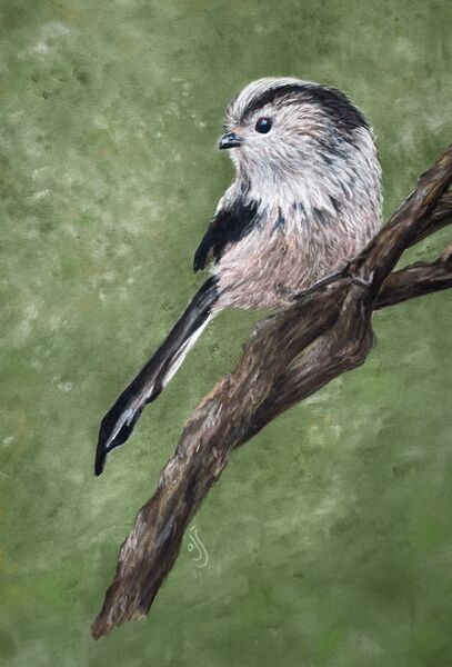 Long Tailed Tit  SOLD The Apex Gallery, Bury St Ed’s. 2023