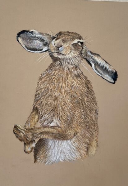 Ear Ear. SOLD ART LUDHAM August 2023