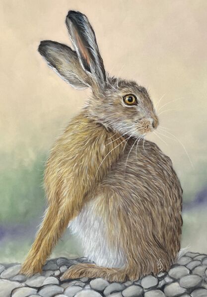 Summer Sunlight Hare SOLD Potter Heigham 2024