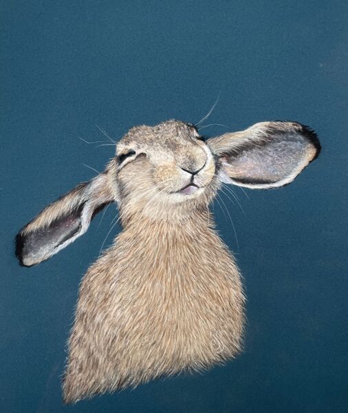 Don’t Worry, Be Hoppy SOLD Potter Heigham Easter 2025