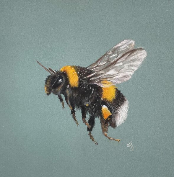 Don’t Worry, Bee Happy A gift for Mum