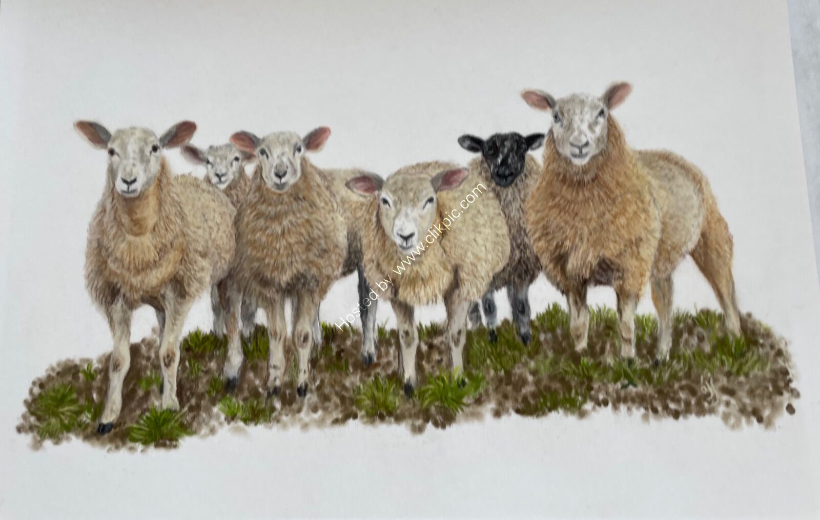 Ewe-nited We Stand