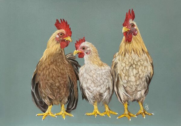 Chicken Trio. SOLD Art Ludham 2025