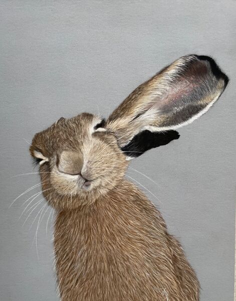 Chill Out Hare SOLD Art Ludham 2025 and joining some other hare friends!
