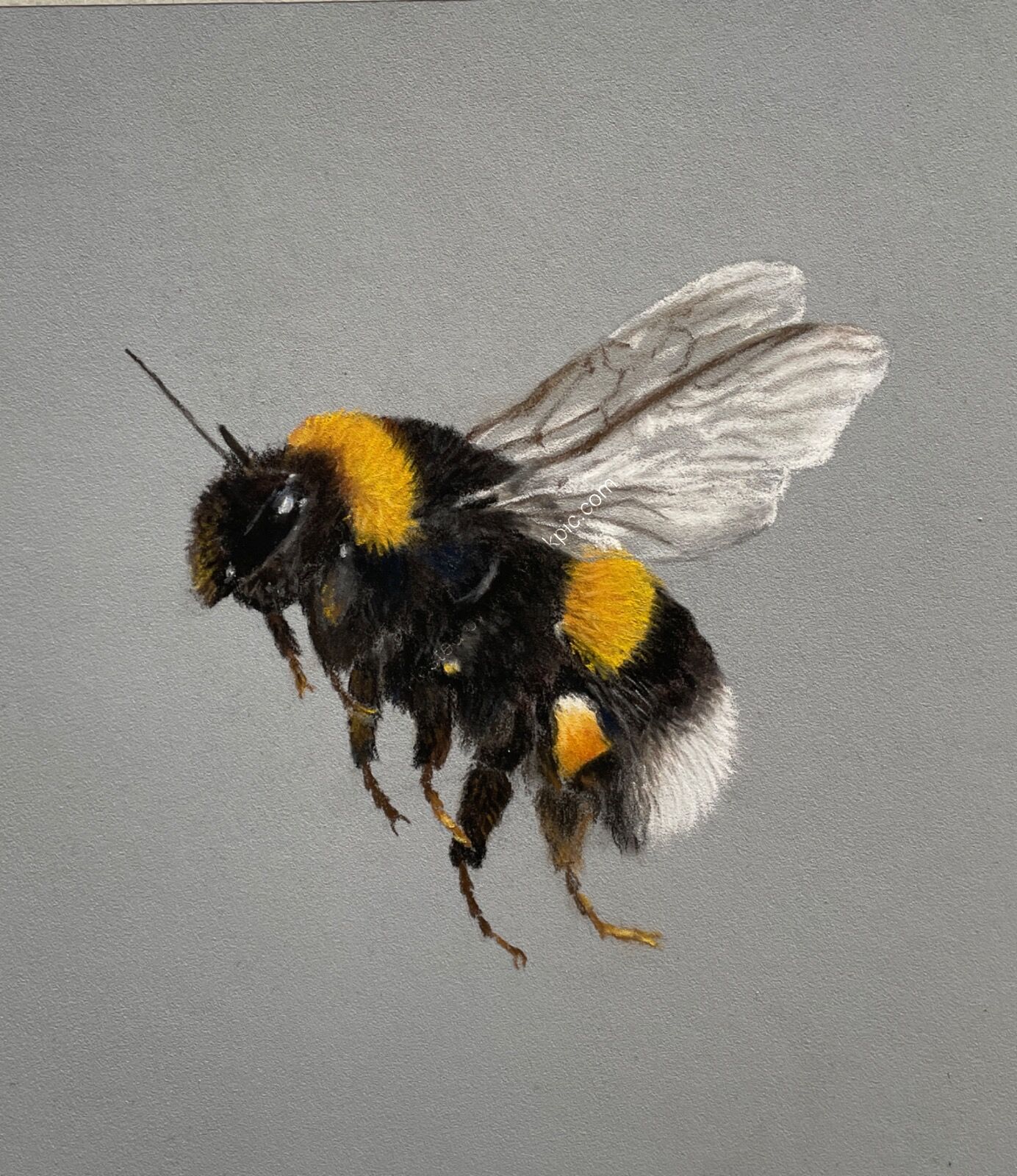 Bee Happy SOLD Art Ludham 2025