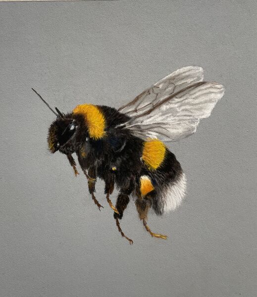 Bee Happy SOLD Art Ludham 2025