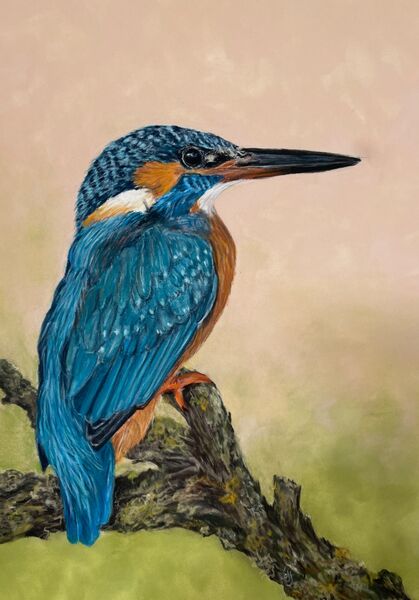 Kingfisher Sold Art Ludham 2024