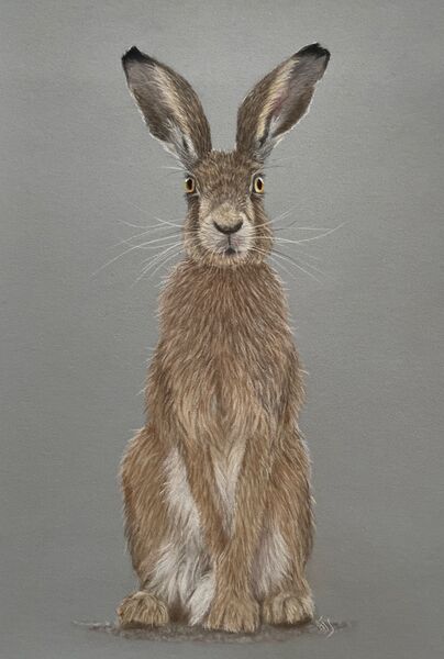 Mr Fluffy  SOLD Hempstead Arts Exhibition August 2025