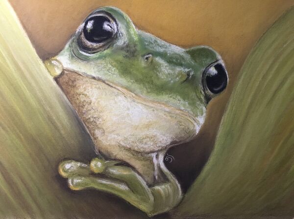 Welcome to my Pad SOLD