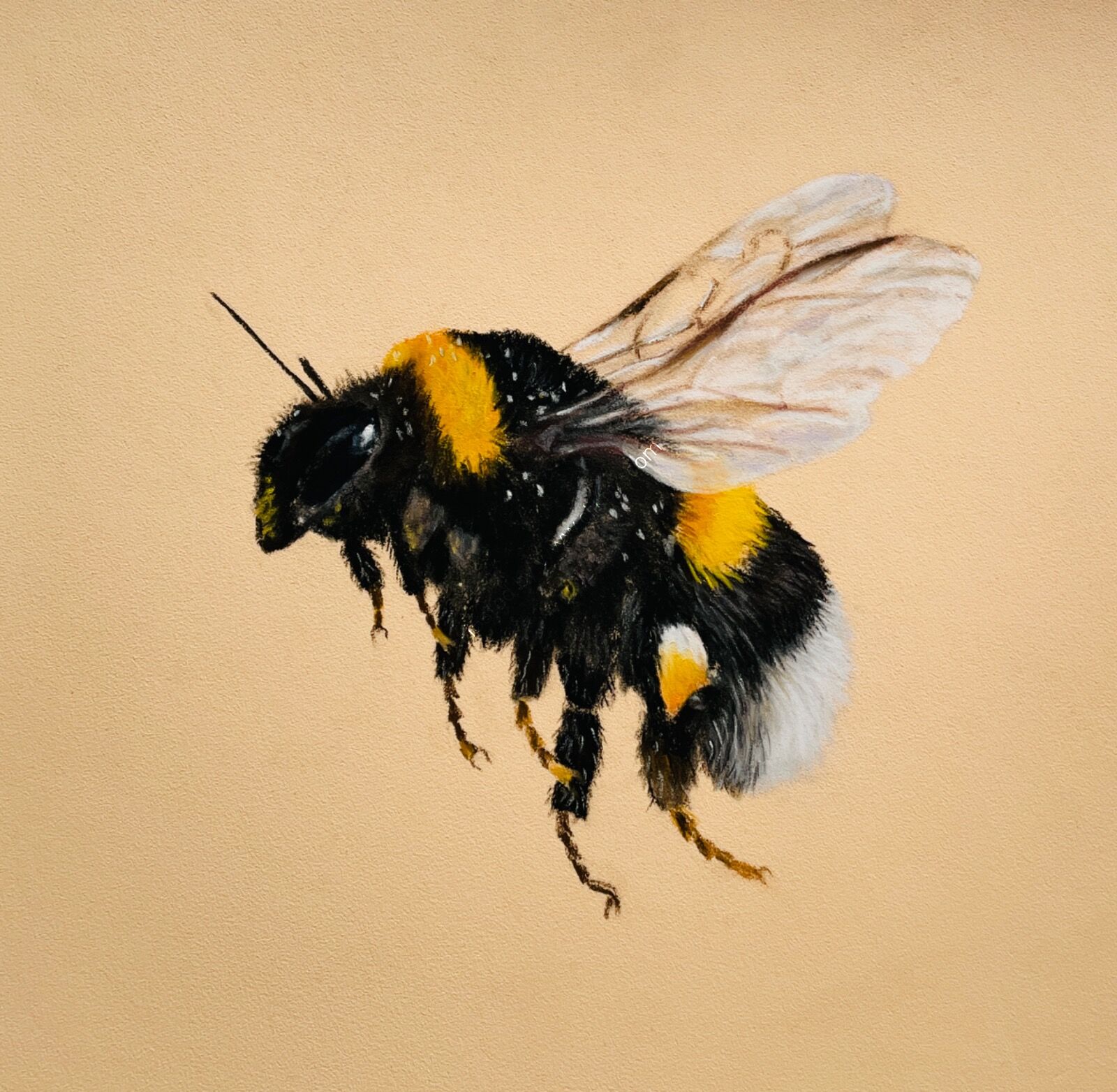 Bee Positive