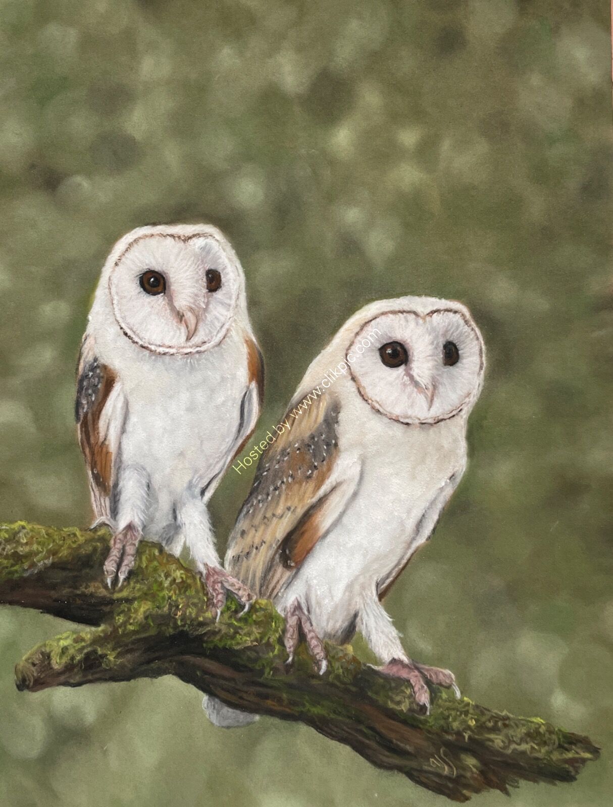 Life’s a Hoot SOLD Wiveton Hall Cafe