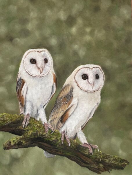 Life’s a Hoot SOLD Wiveton Hall Cafe